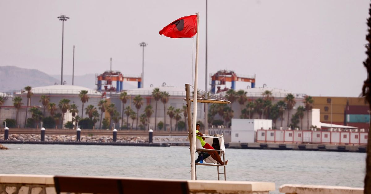 Málaga prohíbe el baño en seis playas de la capital por la presencia de la bacteria E. coli – Málaga Hoy