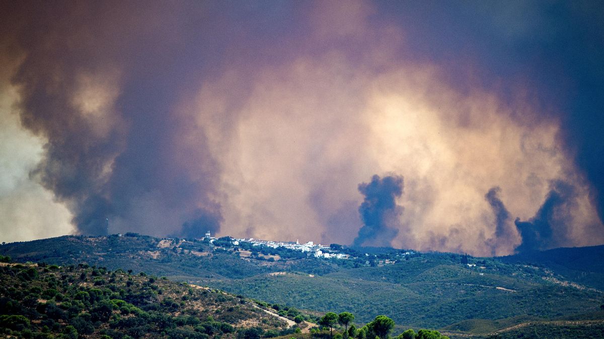 El incendio de Niebla avanza sin control, ha calcinado ya 20.000 hectáreas y ahora mismo no hay manera de extinguirlo – elDiario.es