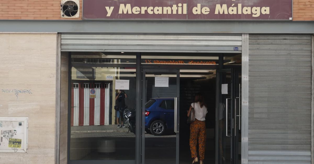 Seis de las diez mayores empresas creadas en Andalucía están en Málaga – Málaga Hoy
