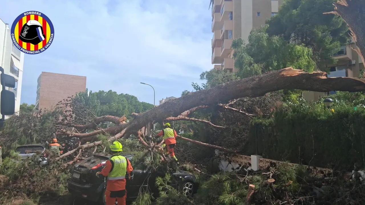 Así ha quedado Valencia tras el reventón térmico: palmeras arrancadas, arena volando y calles anegadas – antena3.com