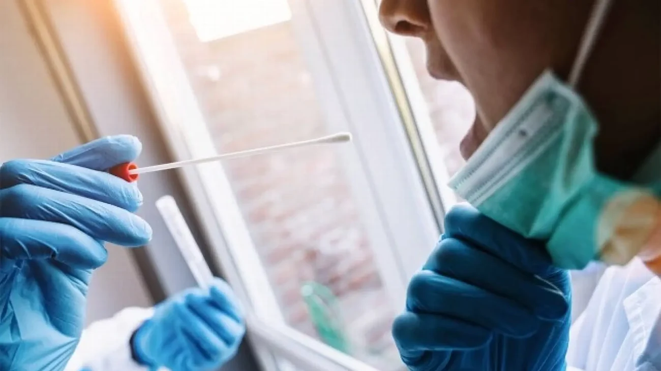 Cataluña descarta que los tres contactos de hantavirus en la comunidad se hayan infectado – 20Minutos