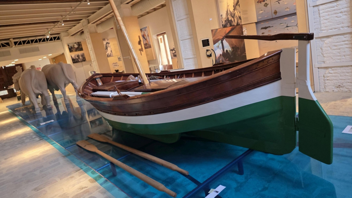 Así será el nuevo Museu de la Mar de València – Valencia Plaza