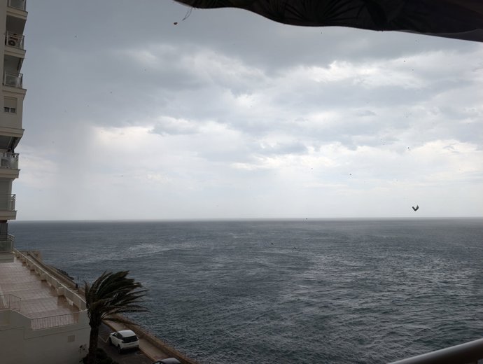Valencia cuantifica ya los daños por las violentas tormentas cortas de este jueves – Valencia Plaza