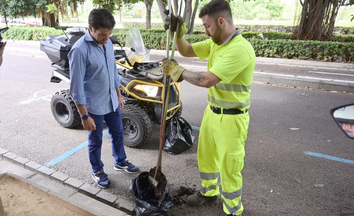 El Ayuntamiento de València inicia la renovación de la red de saneamiento de la calle Ernest Anastasio, en el Marítimo – Valencia Plaza