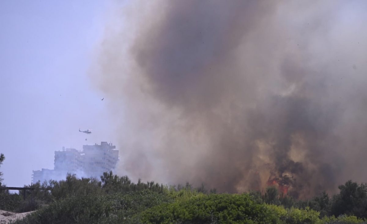 Declarado un incendio en el parque natural de El Saler – Valencia Plaza