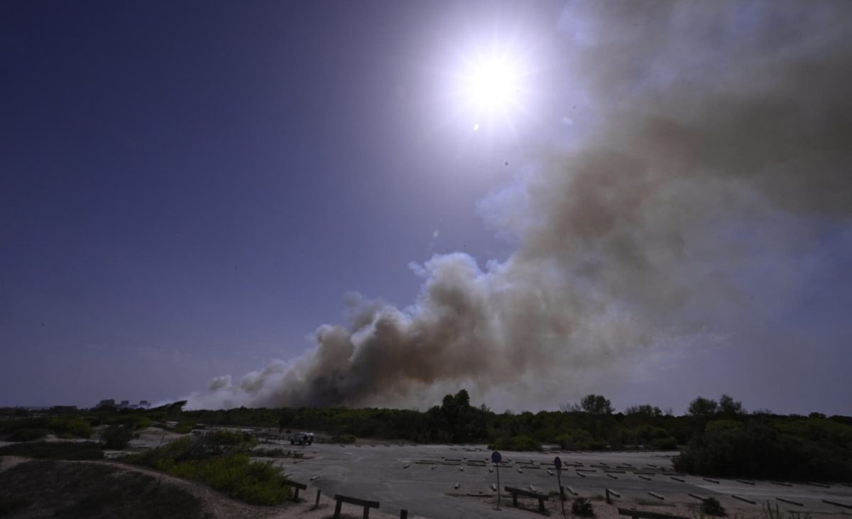 El incendio de El Saler lleva quemadas 31,4 hectáreas y no afecta al casco urbano – Valencia Plaza