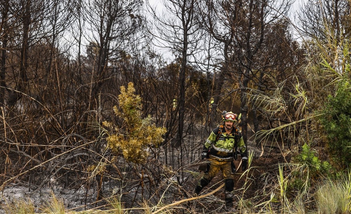 Controlado el incendio forestal de El Saler – Valencia Plaza