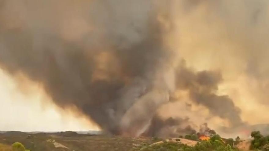 El frente de Sevilla es ya el más peligroso y el único activo del incendio de Niebla: ‘Nos estamos volcando en las defensas de Aznalcóllar y Castillo de las Guardas’ – elcorreoweb.es