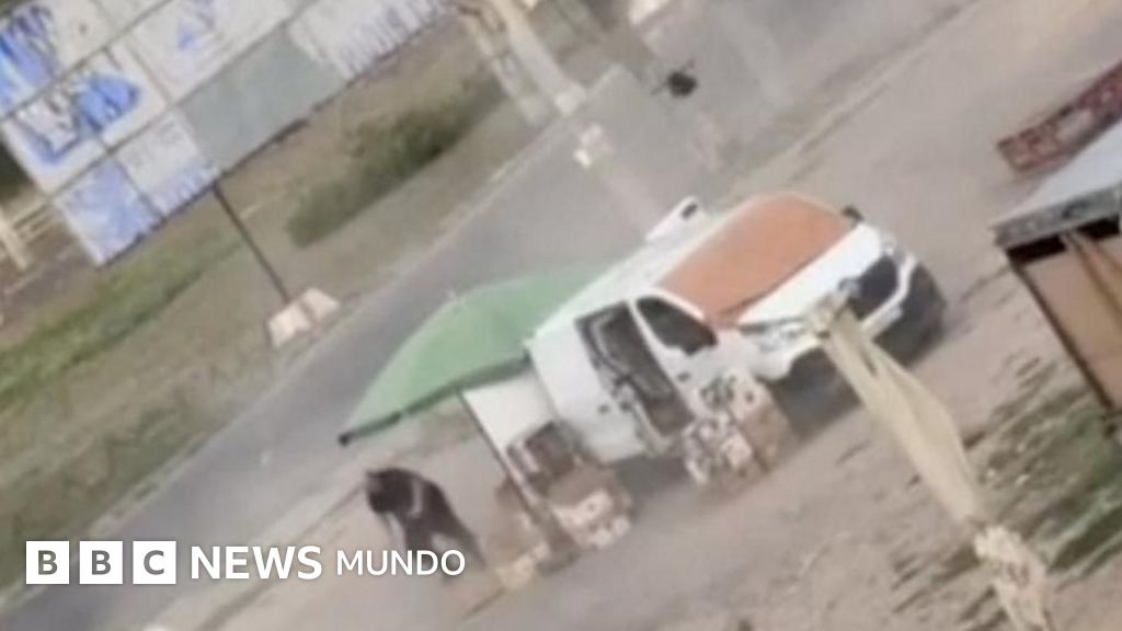 «Safari humano»: el video que muestra cómo un dron ruso persigue a un vendedor ambulante ucraniano antes de explotar