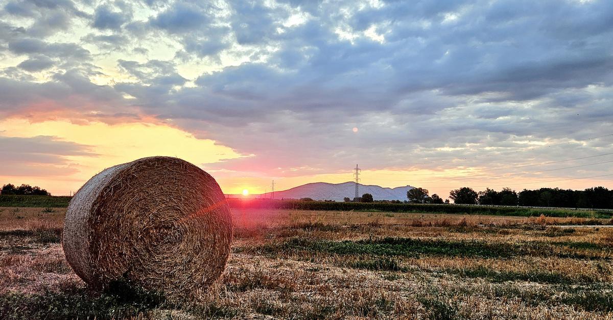 Calor notable en la costa con máximas de hasta 40 ºC en Poniente y en el Ebro – Diari ARA
