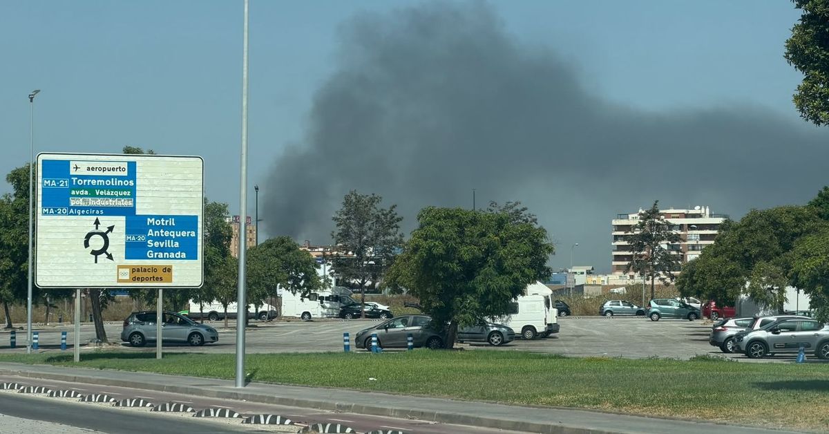 Extinguido un aparatoso incendio junto a la carretera Azucarera-Intelhorce en Málaga – Málaga Hoy