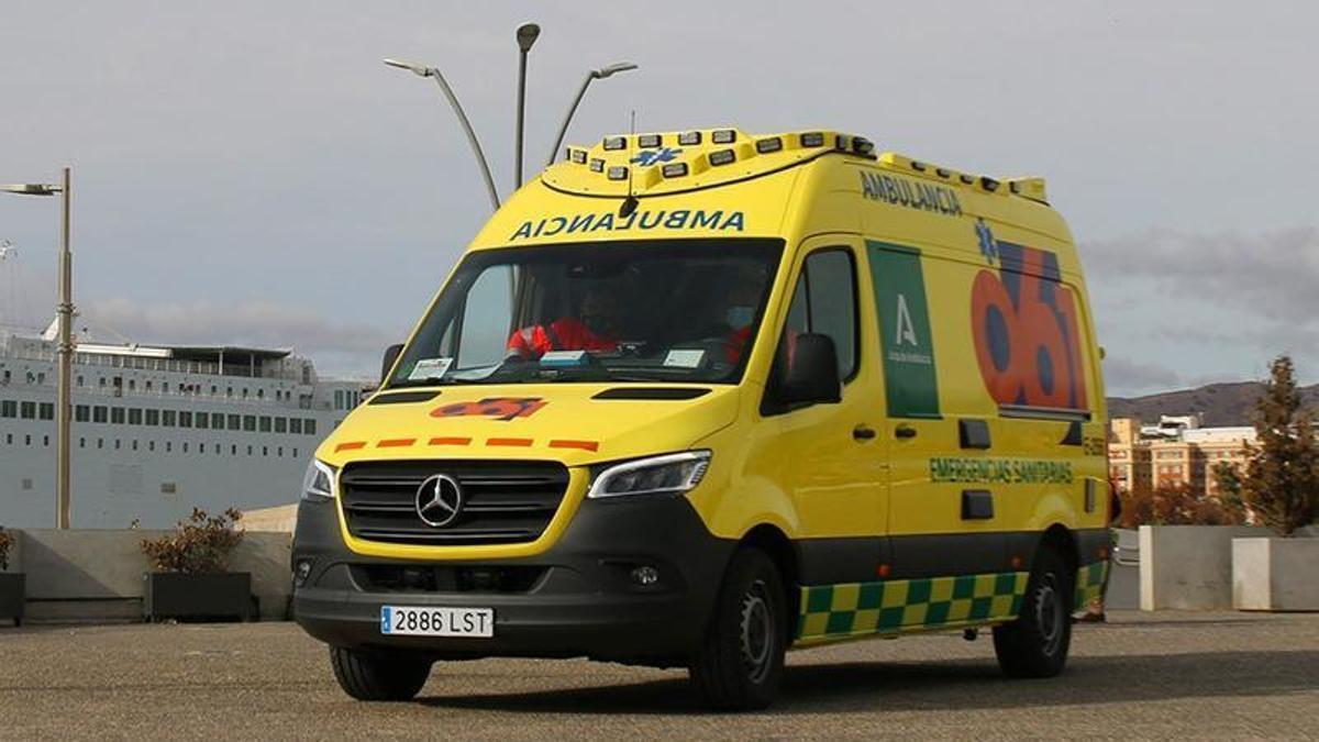 Hallan muerto a un joven de 22 años en una piscina de Málaga – La Opinión de Málaga