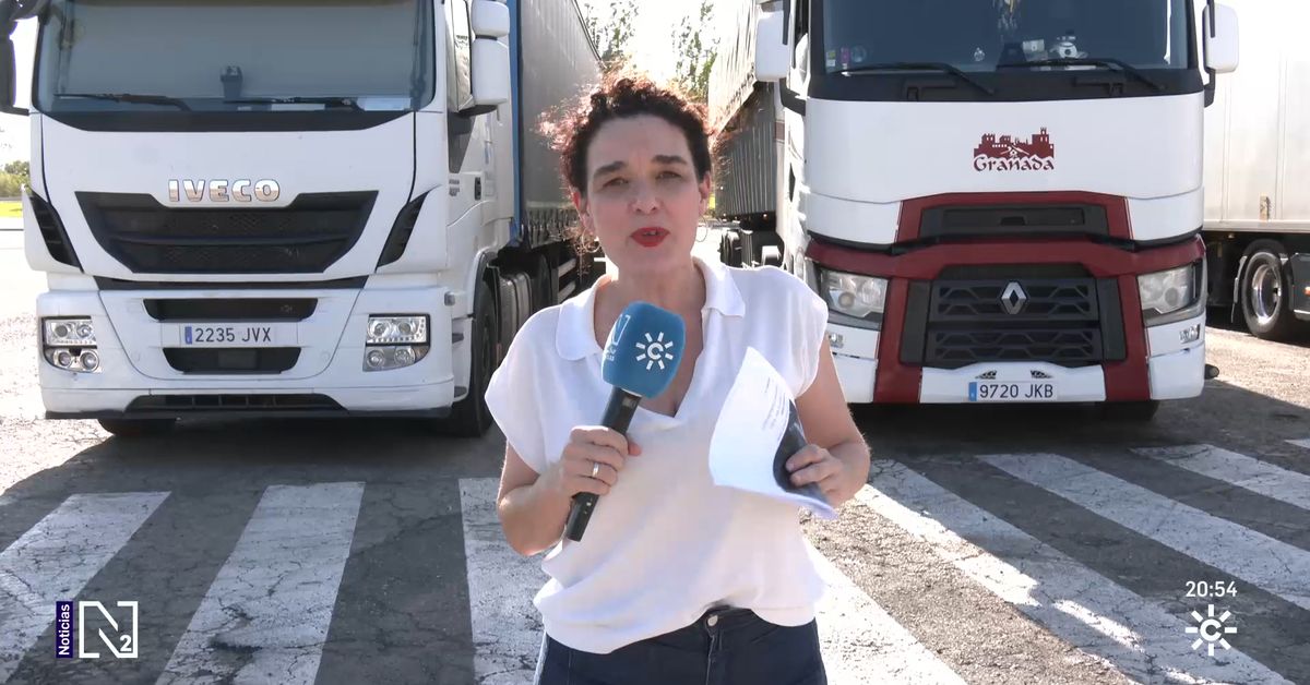 EMPLEO: Faltan más de 8.000 camioneros en Andalucía – Canal Sur