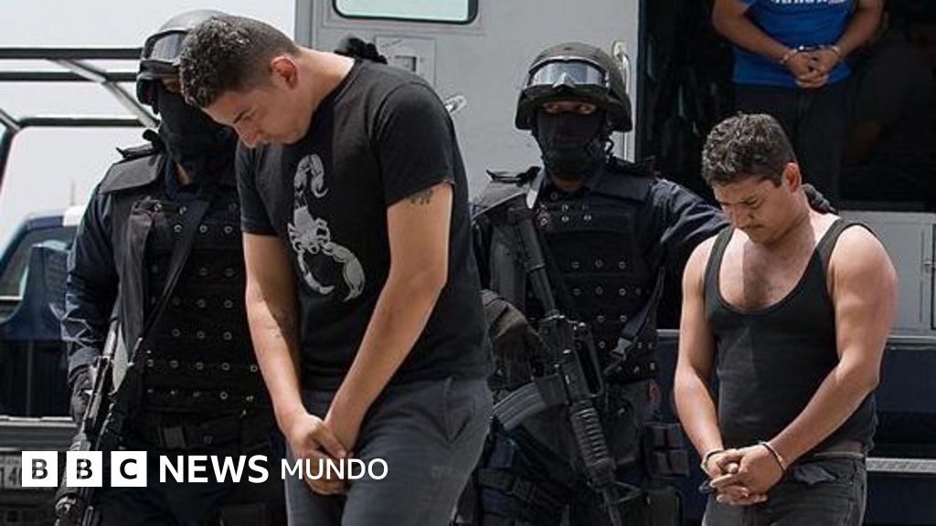 «Los carteles no existen»: la provocadora idea que critica la guerra contra el narco en México
