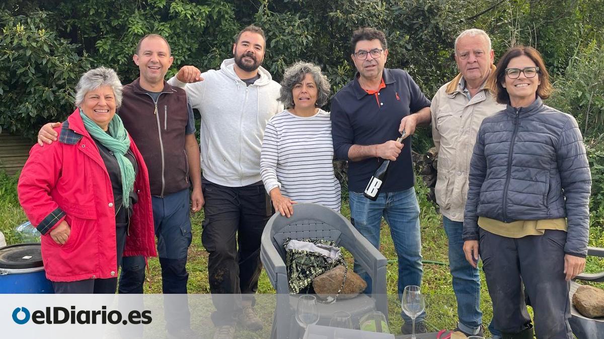 La viña en Canarias está en horas bajas, pero un grupo de viticultores cree haber encontrado una salida bajo sus pies – elDiario.es