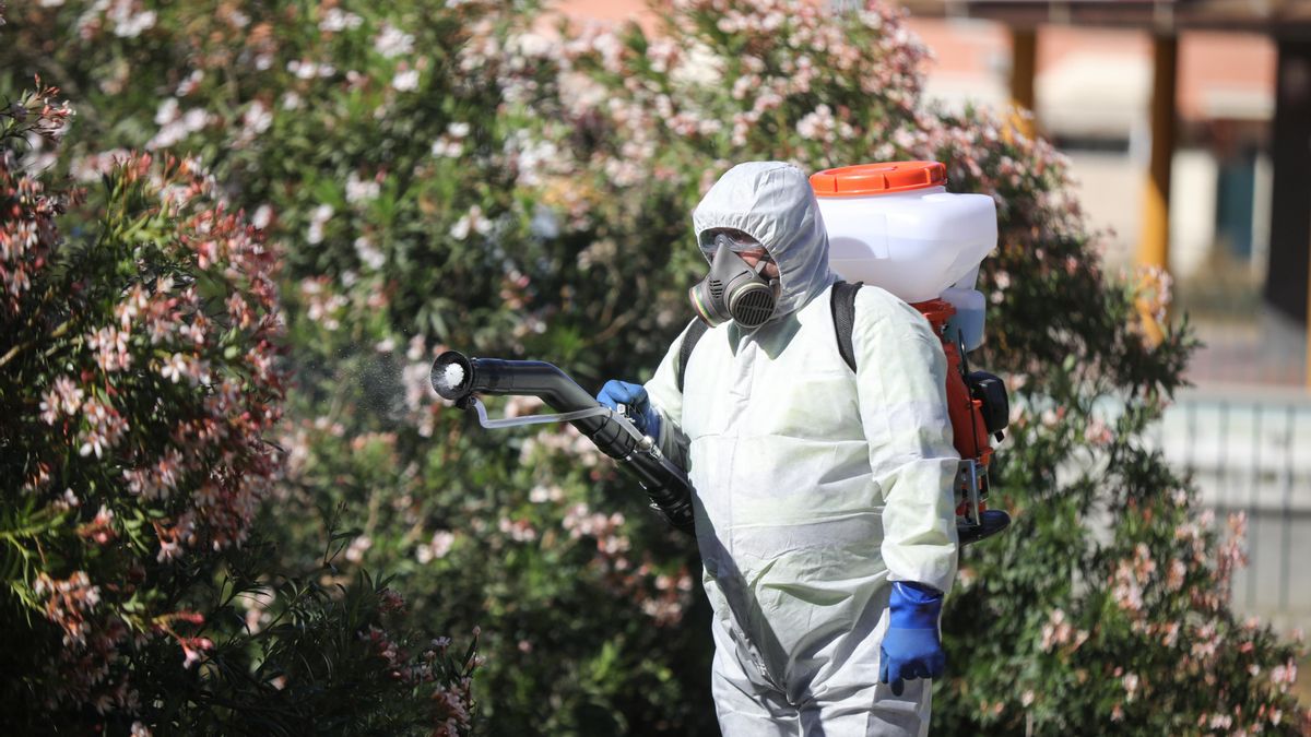 Andalucía eleva a 46 los casos de virus del Nilo tras detectar tres nuevos casos leves en Sevilla – elDiario.es