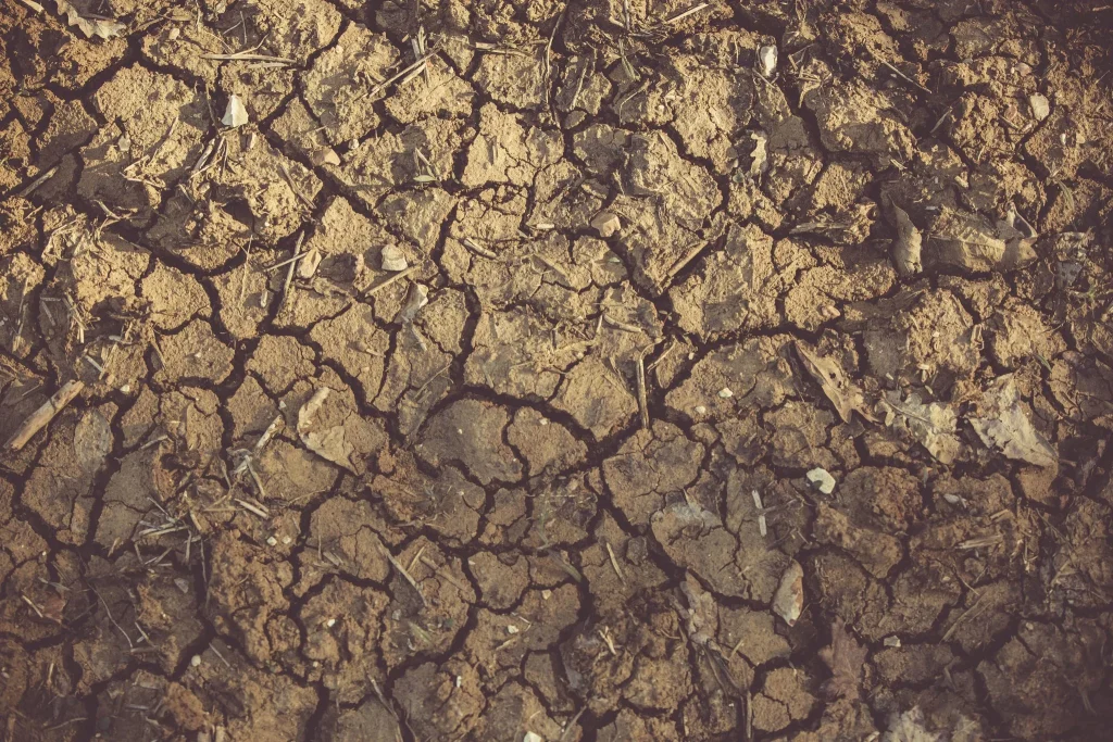 ENBA pide a Pradales un acuerdo interinstitucional ante la sequía en el País Vasco: 5.000 caseríos sin agua de red – moncloa.com