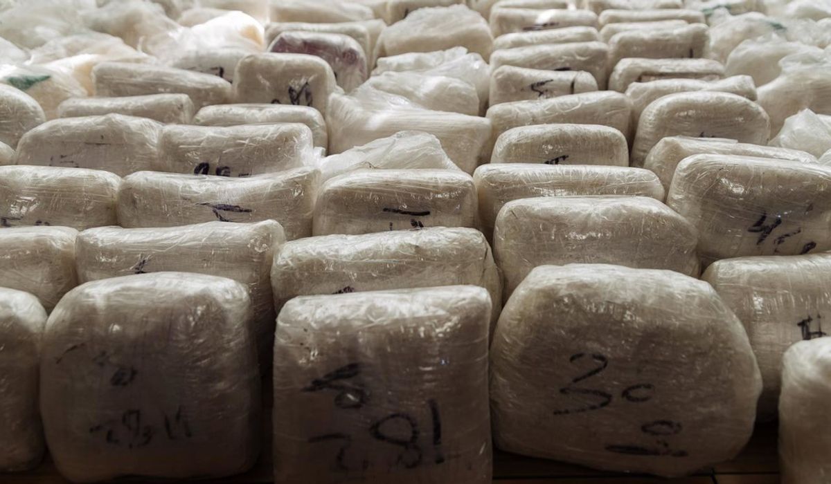 Interior descarta recuperar Ocon-Sur pese a que Andalucía concentra el 80% de intervenciones de hachís y el 30% de cocaína – Vozpopuli