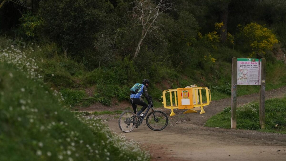 Detectados 4 nuevos casos de PPA en Cataluña dentro de la zona de alto riesgo – Forbes España