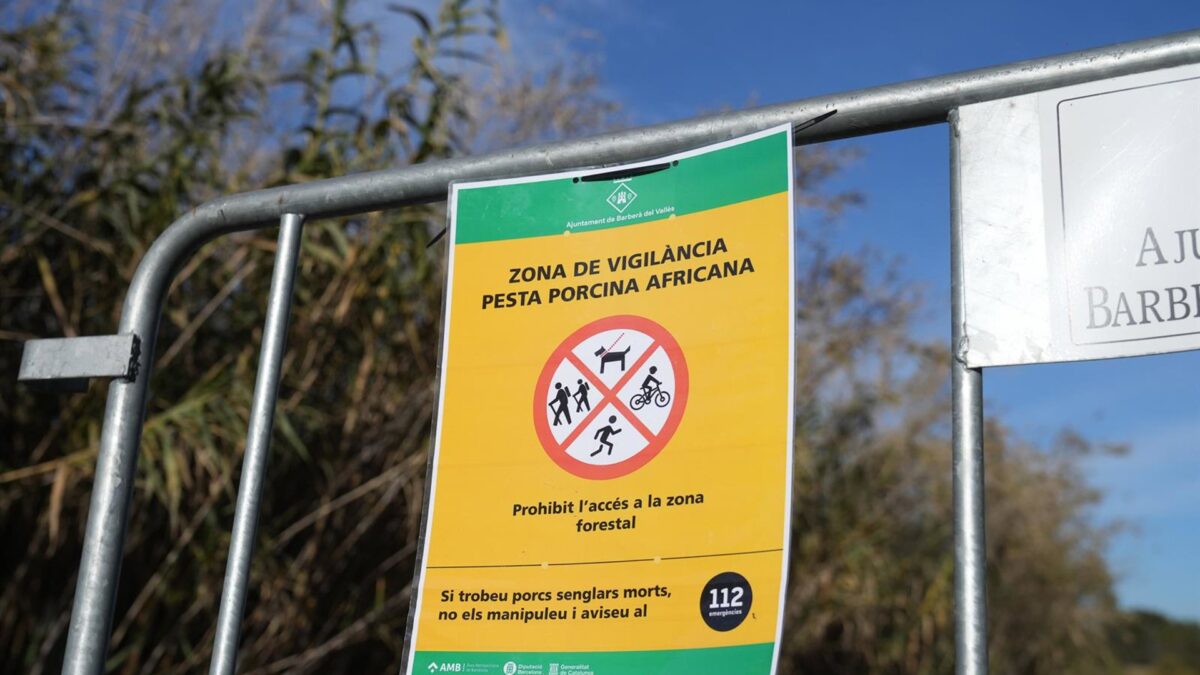 Cataluña no registra «por primera vez» positivos de PPA en la zona de alto riesgo – Forbes España