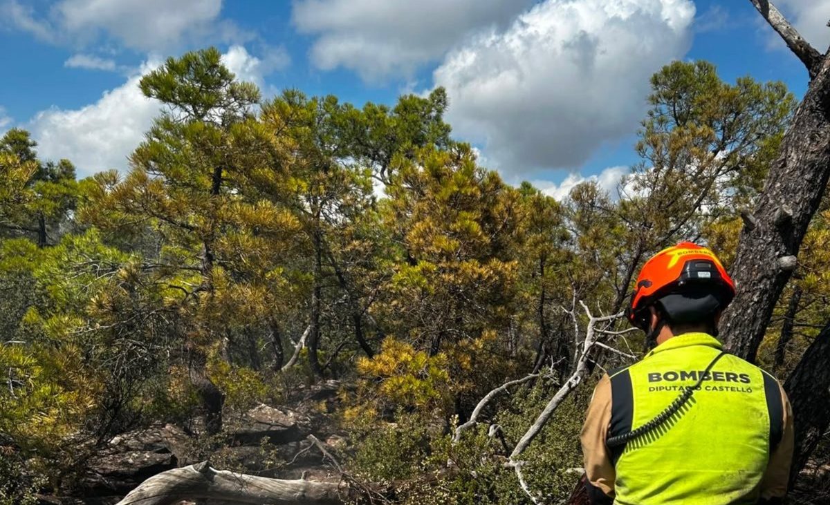 Estabilizado el incendio de la Sierra Calderona