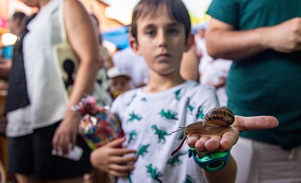 Caracoles con alma de campeones en Tricio – La Rioja