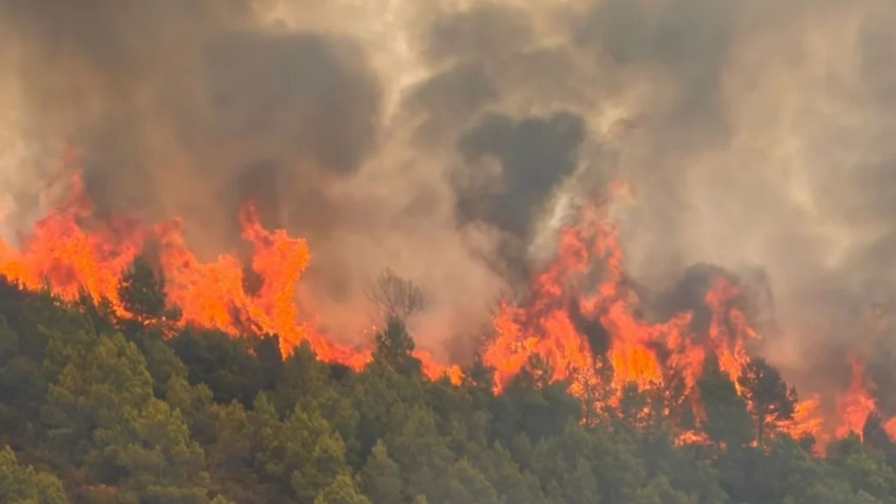 Evacuada la localidad de Gátova (Valencia) ante el voraz avance del fuego en la Sierra Calderona – OkDiario