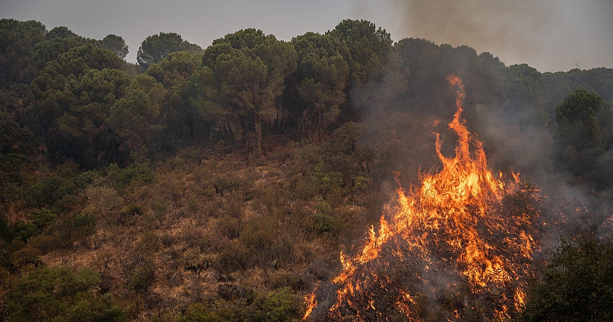 Huelva, epicentro de los incendios andaluces en los últimos años: 16.500 hectáreas quemadas sólo este verano – ABC