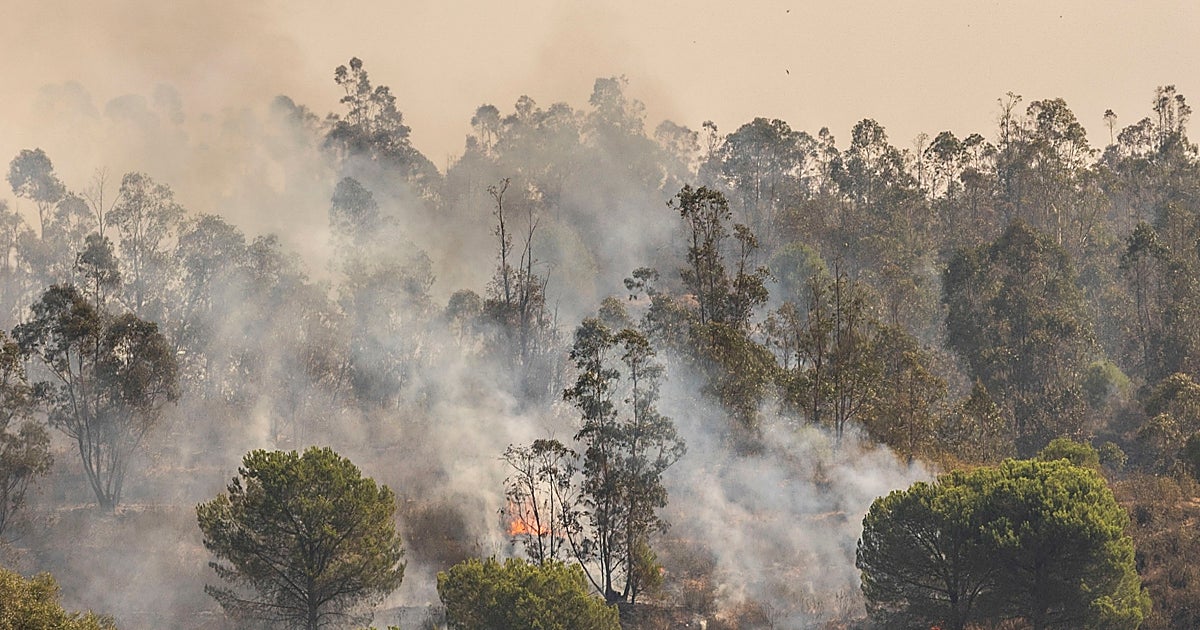 Andalucía necesita más inversión para anticiparse a los nuevos incendios – ABC