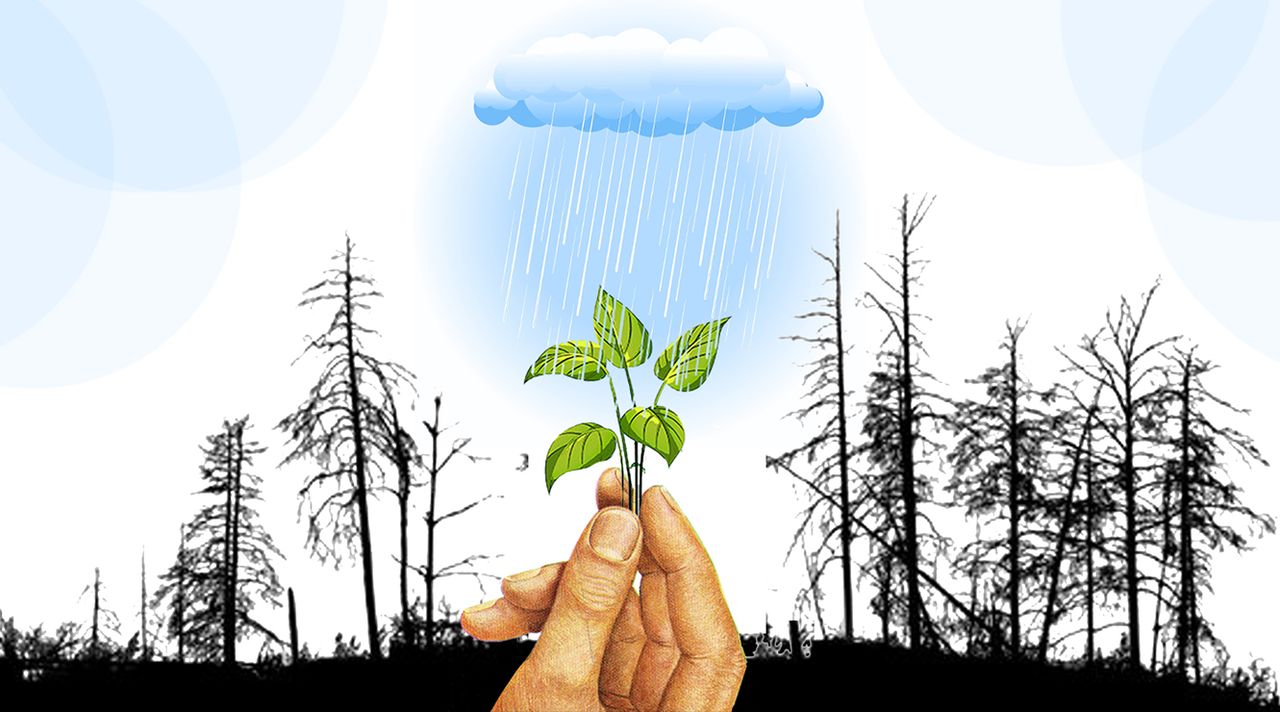 Incendios y restauración ecológica: Galicia necesita escuchar más a la ciencia – La Voz de Galicia