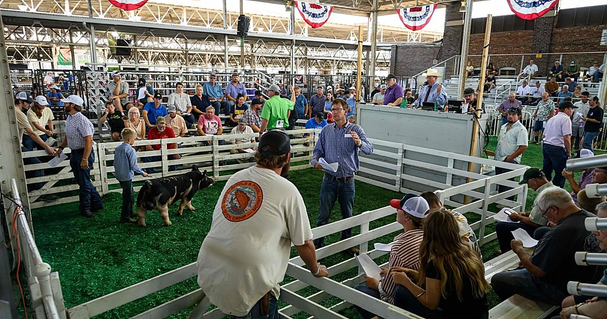 Los granjeros pierden poder: los demócratas entierran a Iowa como arranque de las primarias