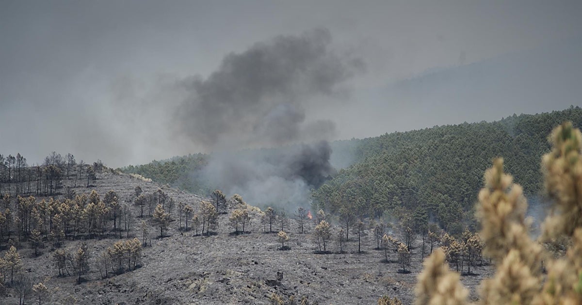 Castilla-La Mancha registra 929 incendios forestales y 39.400 hectáreas afectadas en lo que va de año – ABC