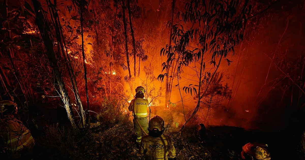 Andalucía refuerza la investigación de los incendios ante la falta de una reforma penal del Gobierno – abc.es