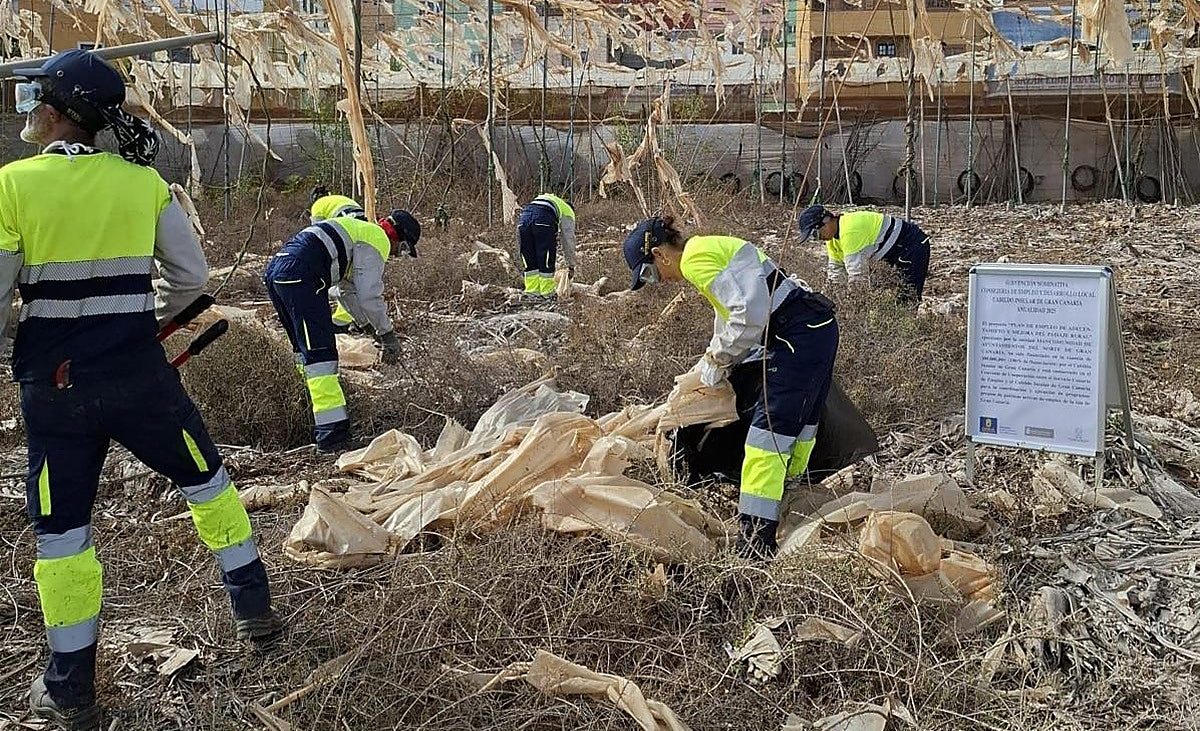 El Norte retira más de 7,8 toneladas de residuos de invernaderos abandonados – Canarias7