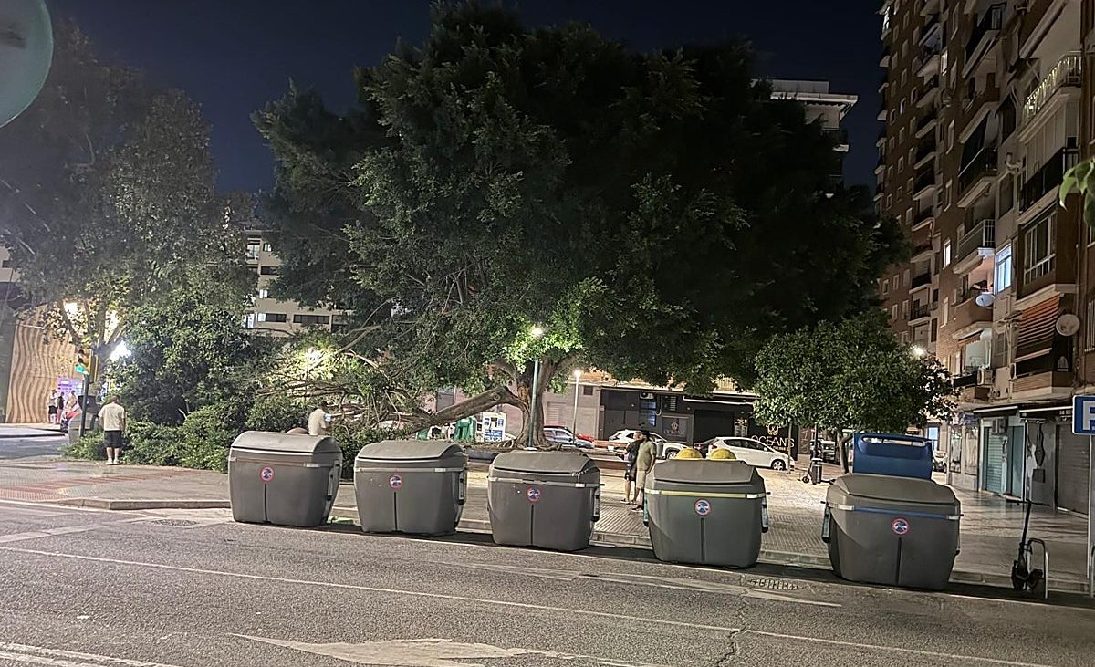 La cuarta caída de ramas de un árbol en Málaga en ocho días alarma a los vecinos – Diario Sur