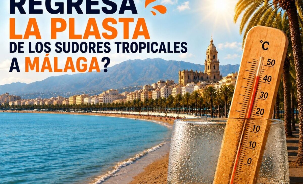 ¿Cuándo regresa la plasta de los sudores tropicales a Málaga? – Diario Sur