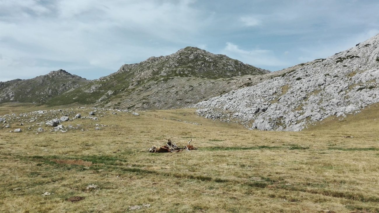 Muere un hombre tras sufrir una caída mientras hacía una ruta de montaña en Somiedo, Asturias – Telecinco