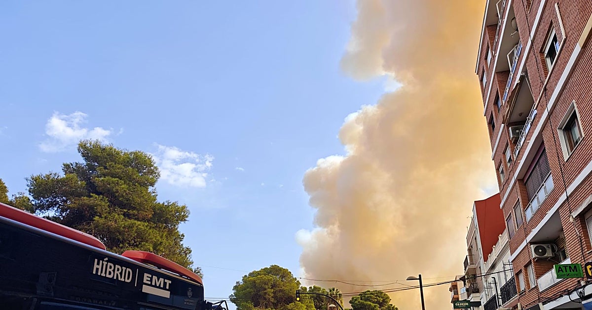 El fuego obliga a evacuar el pueblo y los campings de El Saler (Valencia) – ABC