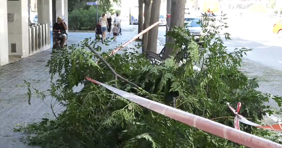 30 heridos por el temporal de tormentas y viento en Cataluña – Lecturas