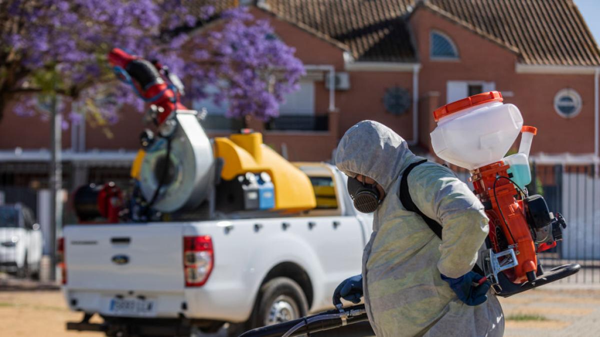 Andalucía registra la primera muerte por virus del Nilo de este año, en Sevilla, y eleva a 17 los casos – El HuffPost